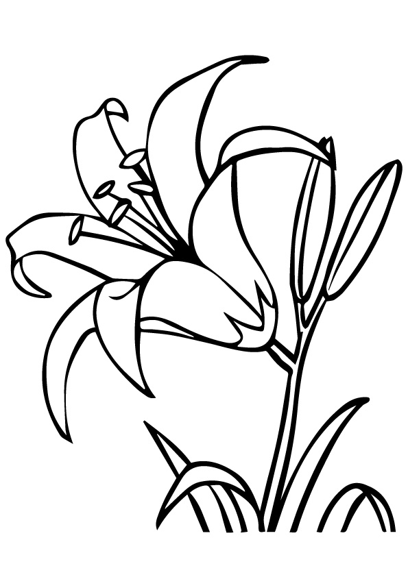 Plansa de colorat cu Liliac 64 61